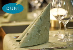 Festlich gedeckter Tisch mit gefalteter Serviette aus der Weihnachtsserie Duni Noël Pistachio, Gläsern und Tischdeko.