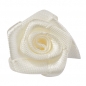 30er Box Satin Rosenköpfe in Creme