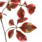 Nahaufnahme von der Kunstblume Blätterzweig in Rot-Braun, 72 cm.