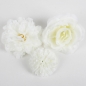 3er Set Deko Blumenkopf Mix in Weiß, 7,5 cm - 11 cm.