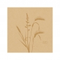 Duni Bio Dunisoft Cocktail Servietten Meadow Natural, 20 x 20 cm.