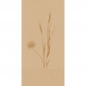 Duni Zelltuch Servietten Meadow Natural, 2-lagig, ⅛ Buchfalz, 40 cm.