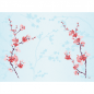 Duni Bio Dunicel® Tischsets Cherry Breeze Blue, 30 x 40 cm.
