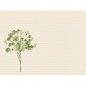 Bio Dunicel® Tischsets Green Umbles, 30 x 40 cm.