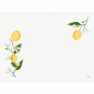 Duni Papier Tischsets Lemon Fiesta, 30 x 40 cm.