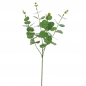 Kunstblume Eukalyptuszweig in Grün, 60 cm.