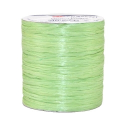 100 m Bastband Rayon Raffia matt in Pistazie