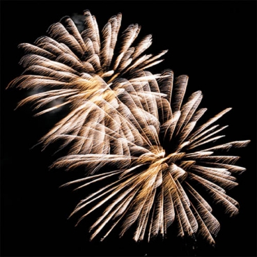 20er Pack Servietten Silvester Goldenes Feuerwerk in Schwarz, 33 x 33 cm
