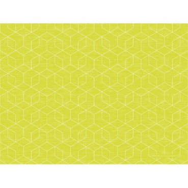 Bio Dunicel® Tischsets Woven & Graphics Kiwi, 30 x 40 cm