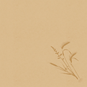 Duni Bio Dunisoft Servietten Meadow Natural, 40 x 40 cm