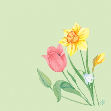 Duni Bio Dunisoft Servietten Spring Melody, 40 x 40 cm