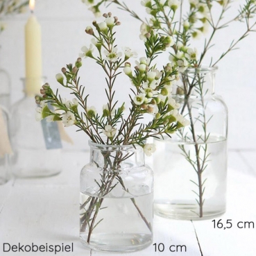 Dekobeispiel für das Glas Flaschen Väschen, große Öffnung, klar, 10 cm.