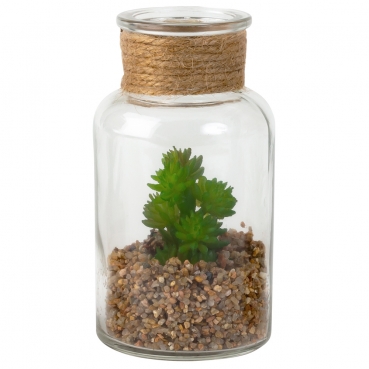 Kunstblume Sukkulente im Glas, Nr. 2, 12,5 cm