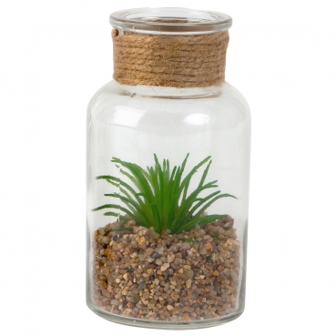 Kunstblume Sukkulente im Glas, Nr. 3, 12,5 cm
