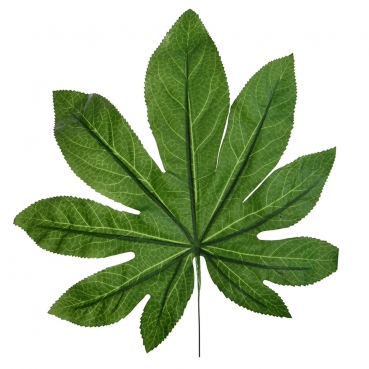 Kunstblume Aralia Dekoblatt am Draht, Blattgröße: 30 cm