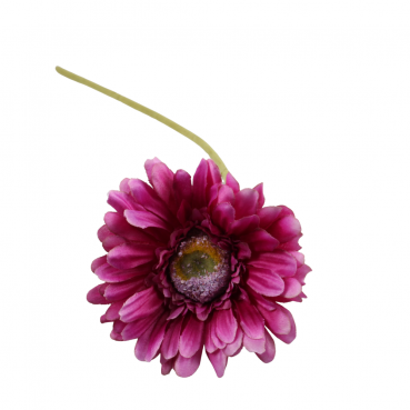Kunstblume Gerbera in Beere, 55 cm