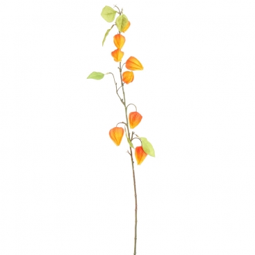 Kunstblume, Deko Zweig Physalis, Lampionblume in Orange, 90 cm