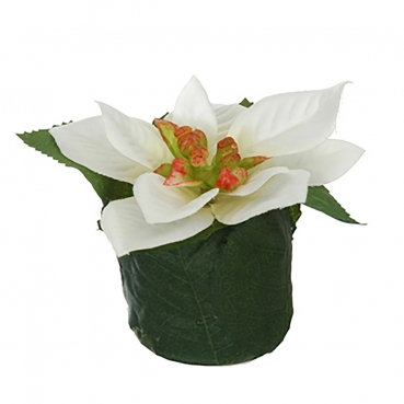 Kunstblume Weihnachtsstern im Blättertöpfchen in Weiß, 80 mm