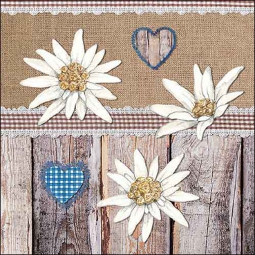 20er Pack Servietten Alpendeko, Edelweiß, 33 x 33 cm