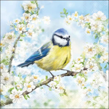 20er Pack Servietten Vogel auf Kirschblütenzweig, 33 x 33 cm