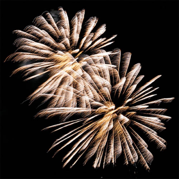 20er Pack Servietten Silvester Goldenes Feuerwerk in Schwarz, 33 x 33 cm.