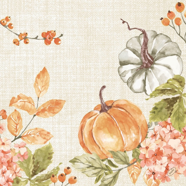 Duni Bio Dunisoft Servietten Spicy Pumpkin, 40 x 40 cm.