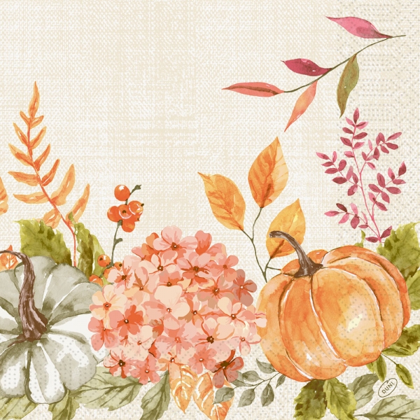 Duni Zelltuch Servietten Spicy Pumpkin, 40 x 40 cm.