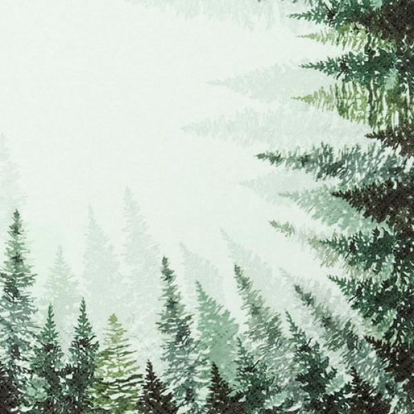 20er Pack Servietten Tannnenwald in Grün, 33 x 33 cm.